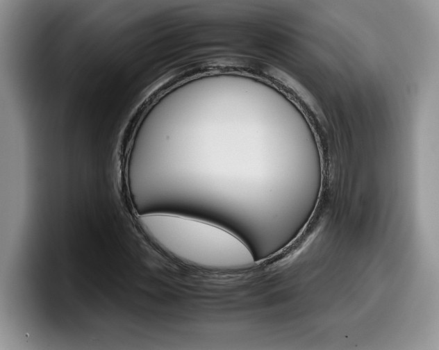 X0000100230829200805300723