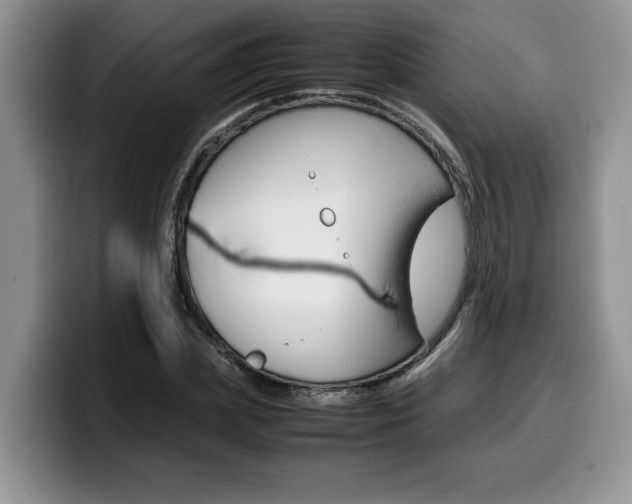 X0000100230831200805300723