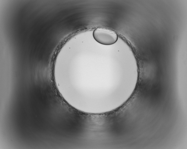 X0000100230832200805300723