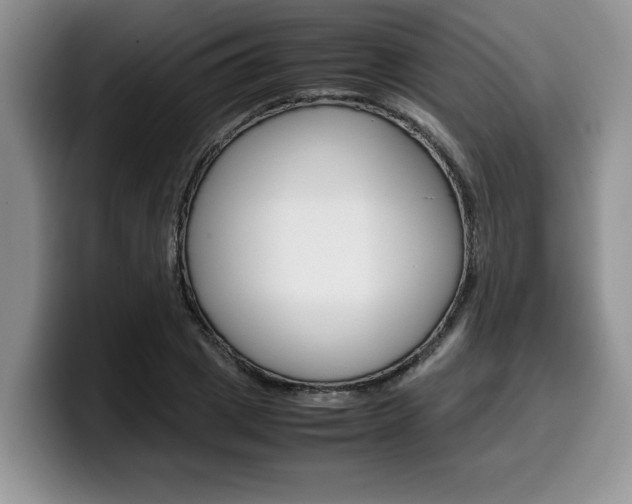 X0000100230833200805300723