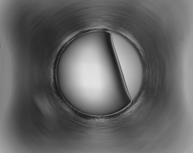X0000100230834200805300723