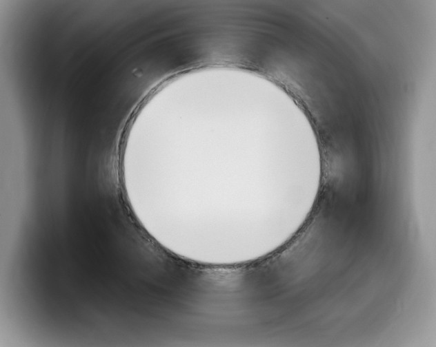 X0000100230836200805300723