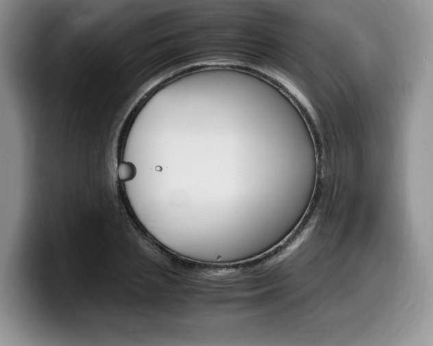X0000100230837200805300723