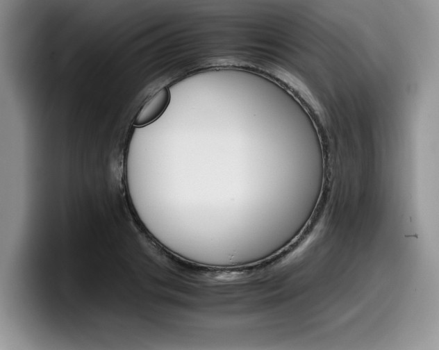 X0000100230841200805300723
