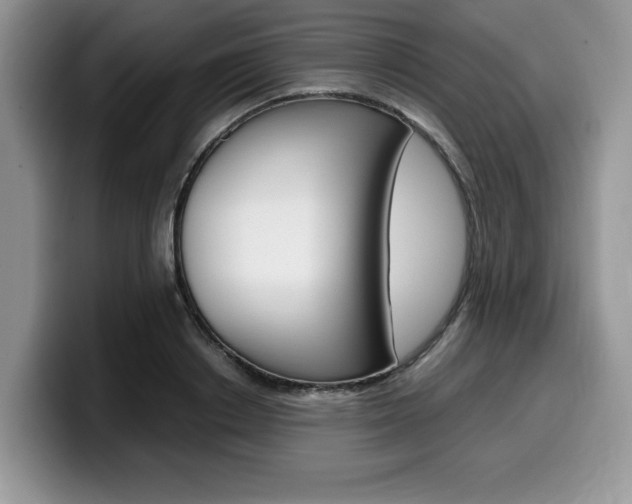 X0000100230842200805300723