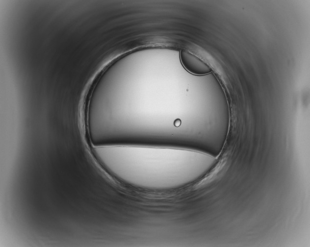 X0000100230843200805300723