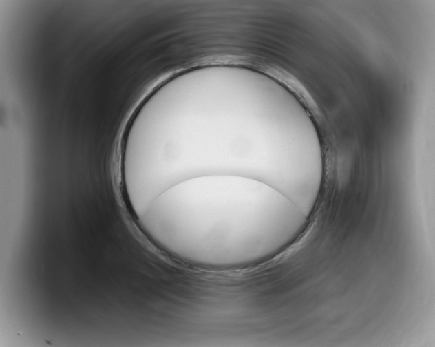 X0000100230844200805300723