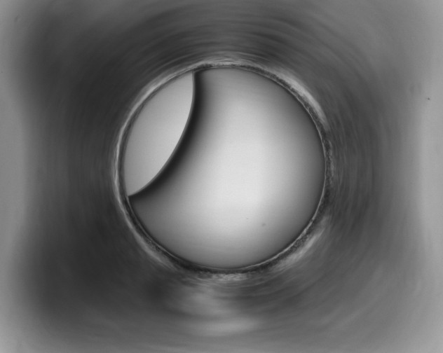 X0000100230845200805300723