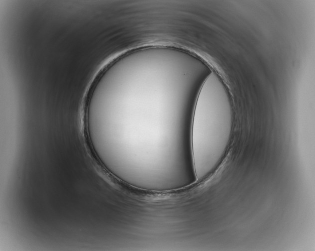 X0000100230846200805300723