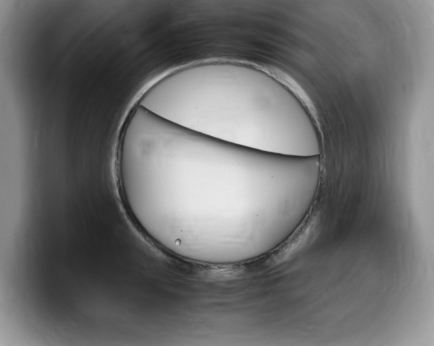 X0000100230847200805300723