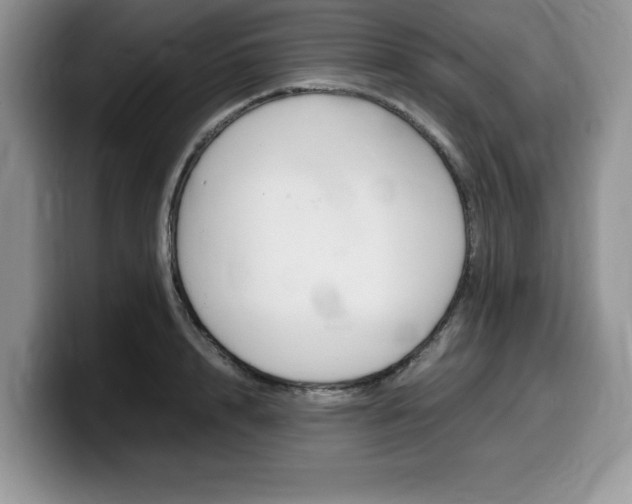 X0000100230848200805300723