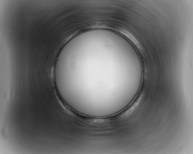 X0000100230849200805300723