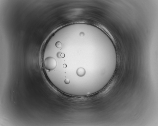 X0000100230851200805300723