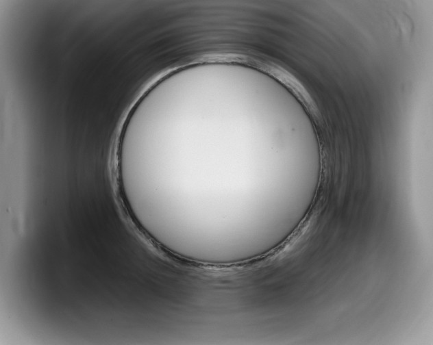 X0000100230852200805300723