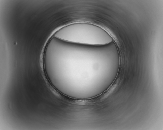 X0000100230854200805300723