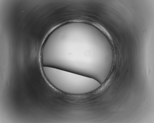 X0000100230855200805300723