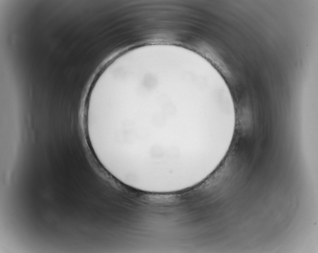 X0000100230856200805300723