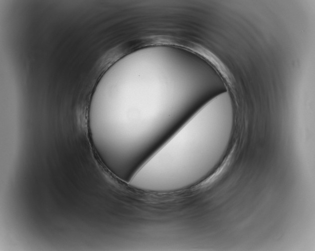 X0000100230857200805300723