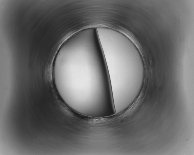 X0000100230858200805300723
