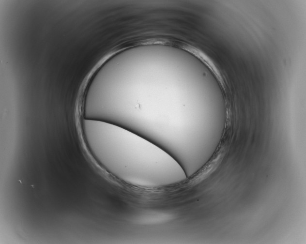 X0000100230859200805300723