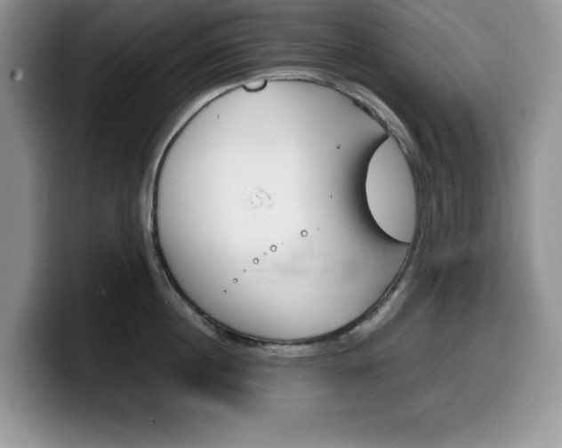 X0000100230860200805300723