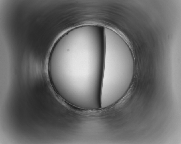 X0000100230862200805300724