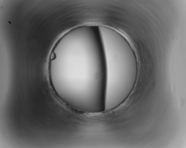 X0000100230864200805300724