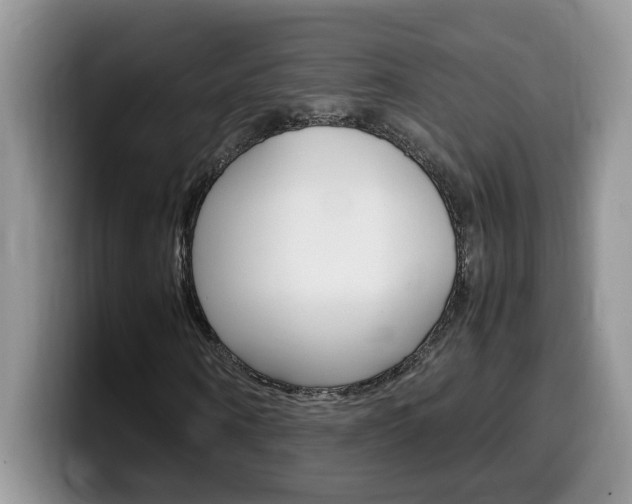 X0000100230866200805300723