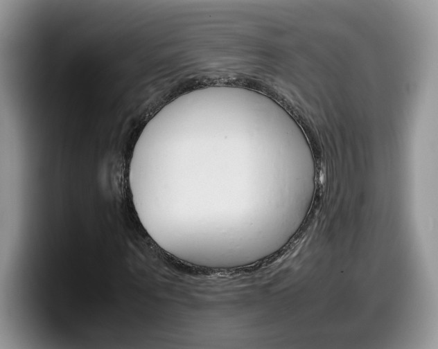 X0000100230867200805300723