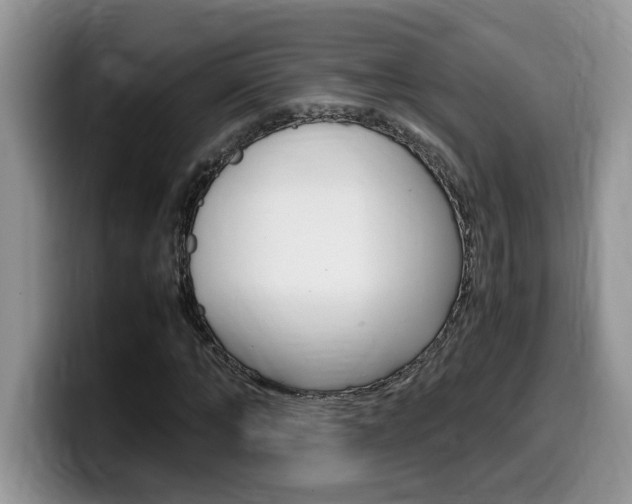 X0000100230870200805300723