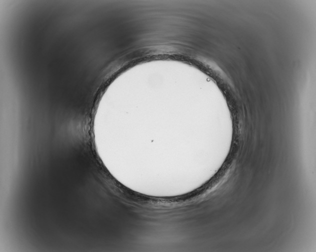 X0000100230873200805300723