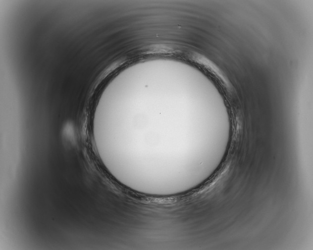 X0000100230874200805300723