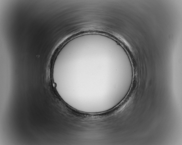 X0000100230877200805300723