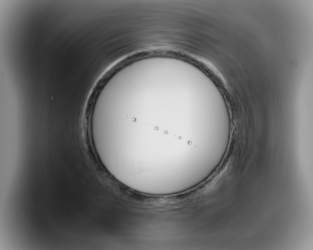 X0000100230879200805300723