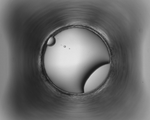 X0000100230880200805300723