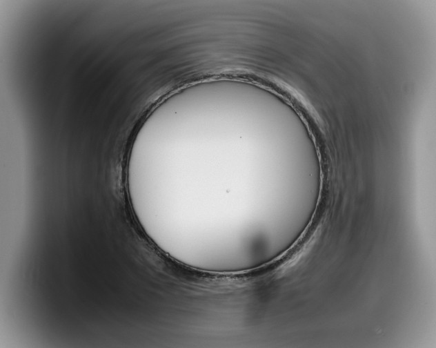 X0000100230881200805300723