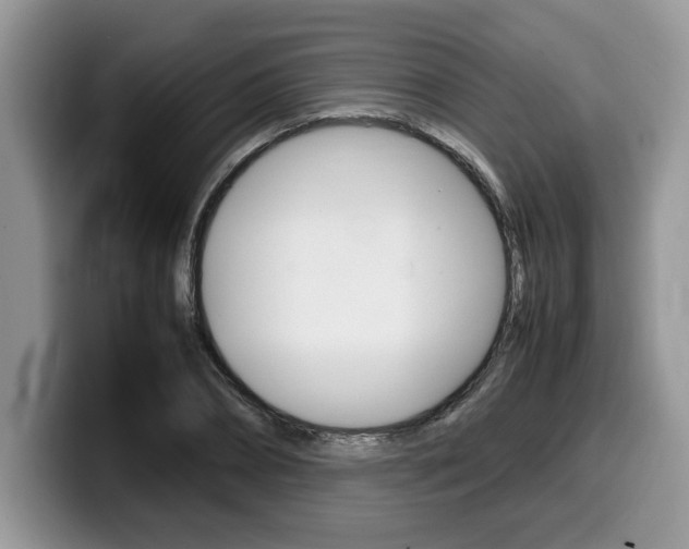 X0000100230882200805300723