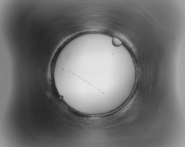 X0000100230883200805300723