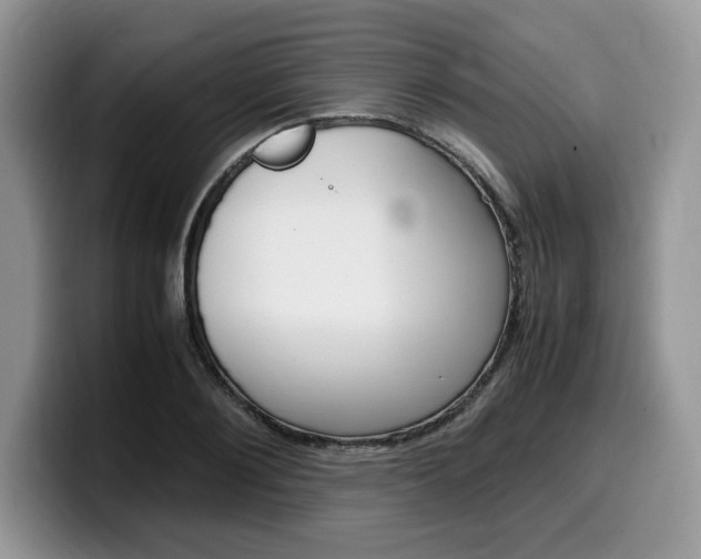 X0000100230884200805300723