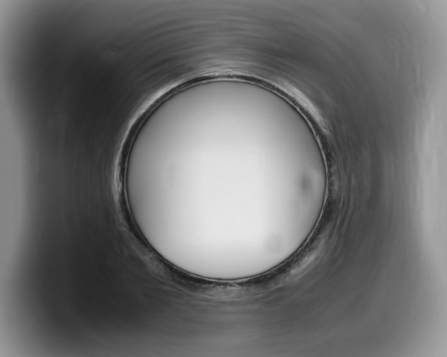 X0000100230885200805300723