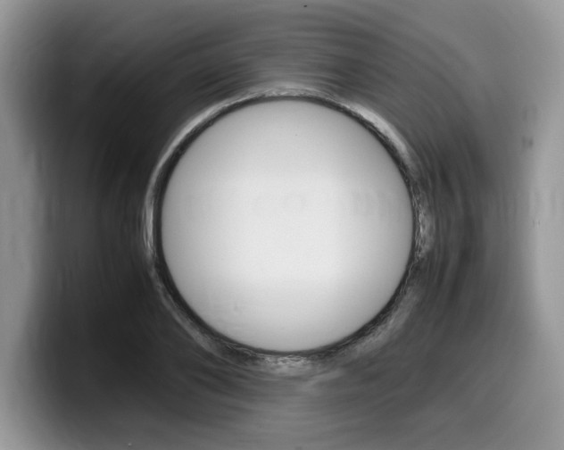X0000100230886200805300723