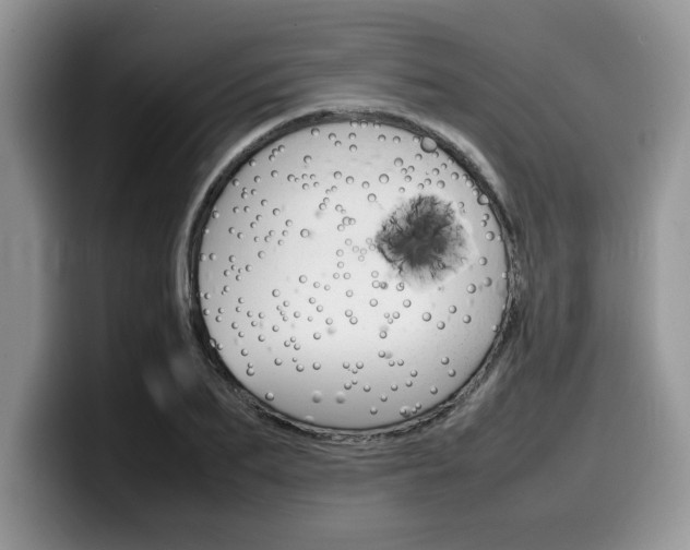 X0000100230887200805300723
