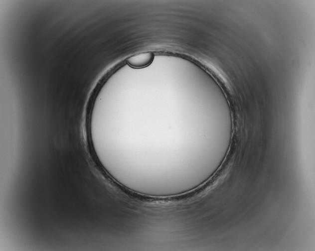 X0000100230888200805300723