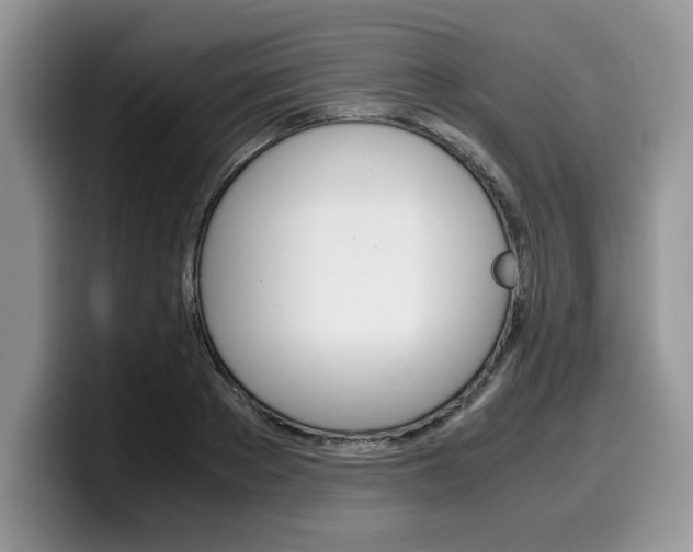 X0000100230889200805300723
