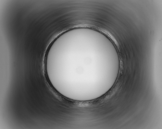 X0000100230890200805300723