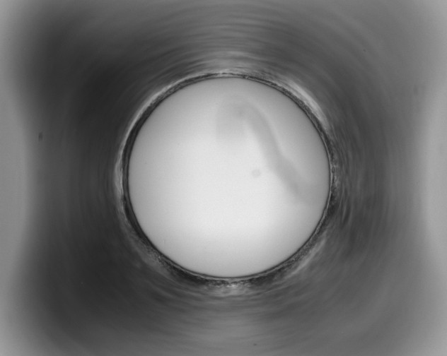 X0000100230891200805300723