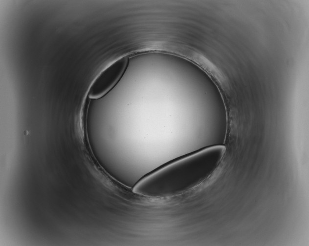 X0000100230892200805300723