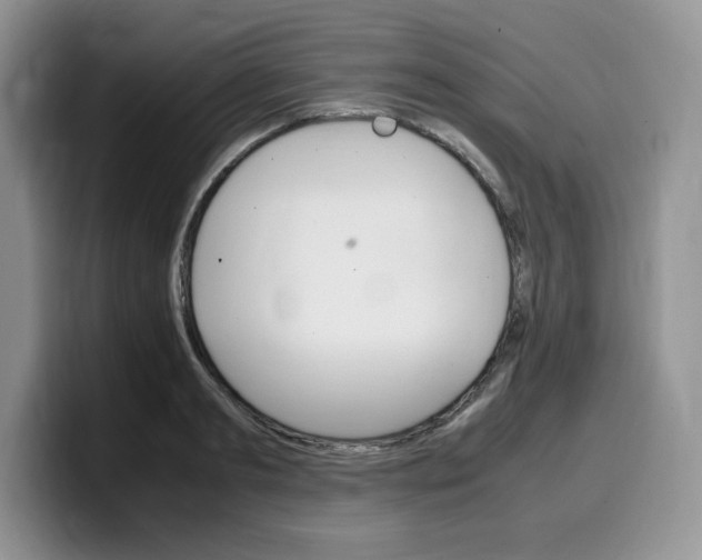 X0000100230893200805300723