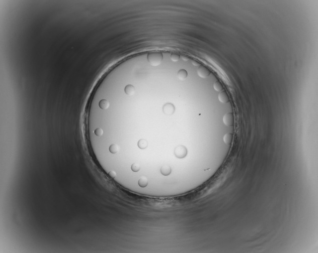 X0000100230899200805300723