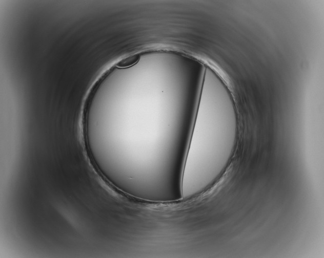 X0000100230902200805300723